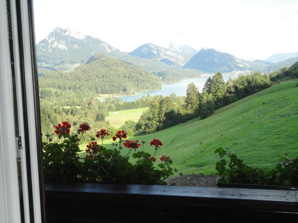 Bauernhof Strumegg Hof bei Salzburg Pokój zdjęcie
